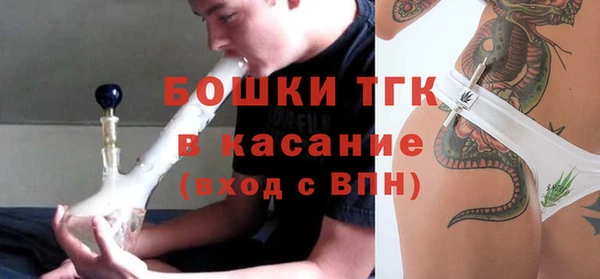 молекула духа Наволоки